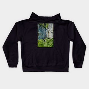 Vanturatoarea waterfall Kids Hoodie